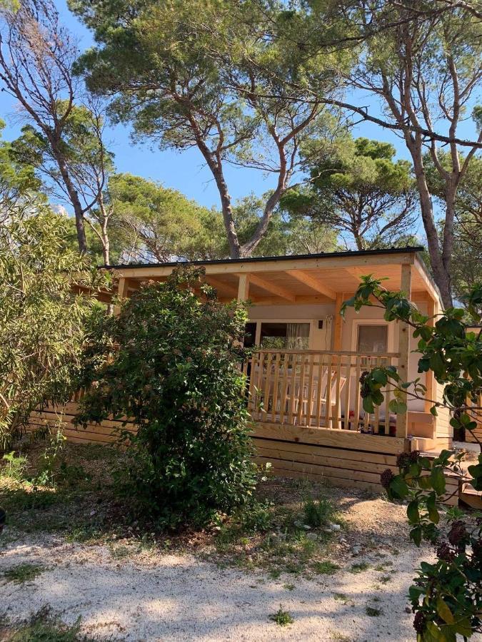 Oaza Mira Mobile Houses - Camp Basko Polje #Bestoffer Башка-Вода Экстерьер фото